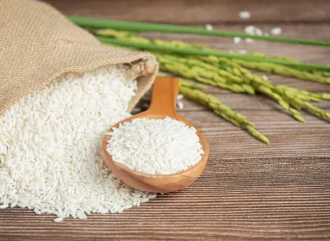 https://shp.aradbranding.com/قیمت خرید برنج فجر بیستون + فروش ویژه